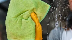 Fönstren håller sig rena i månader: experten avslöjar vad du ska putsa glaset med