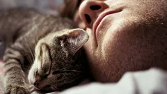 Inte bara en vana: zoologer förklarar varför katter sover bredvid sina ägare